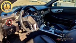 Mercedes-Benz SLK-Klasse SLK 200 BlueEfficiency lleno